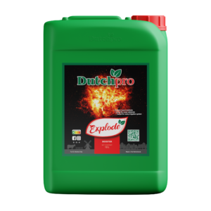 DP Explode 10l