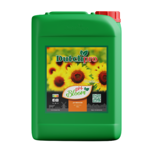 DP pH- 10l Bloom