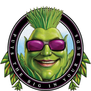 AN Big Bud Powder 1 kg