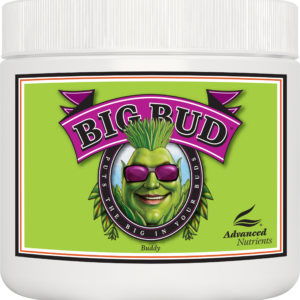 AN Big Bud Powder 500 g