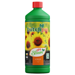 DP pH- 1l Bloom