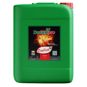 DP Explode 20l