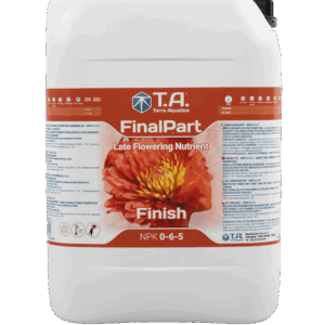 T. A. Final Part 10 l