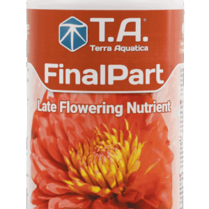 T. A. Final Part 1 l