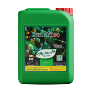 DP Amino Strenght 5l