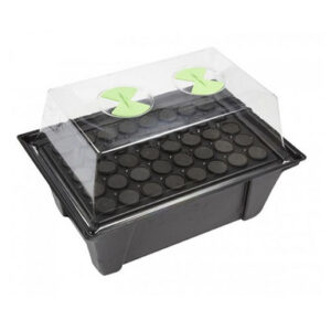 X-Stream 40 Hydro Gewächshaus