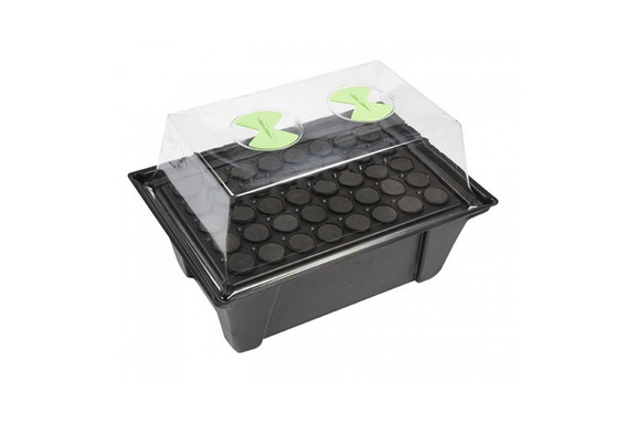 X-Stream 40 Hydro Gewächshaus