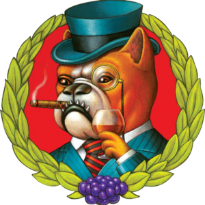 AN pH Perfect Connoisseur Coco Grow Part A + B, 1 l